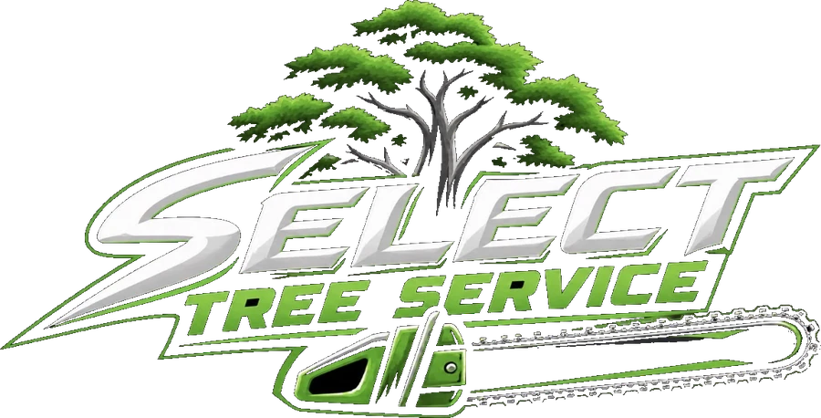 Select Tree Service