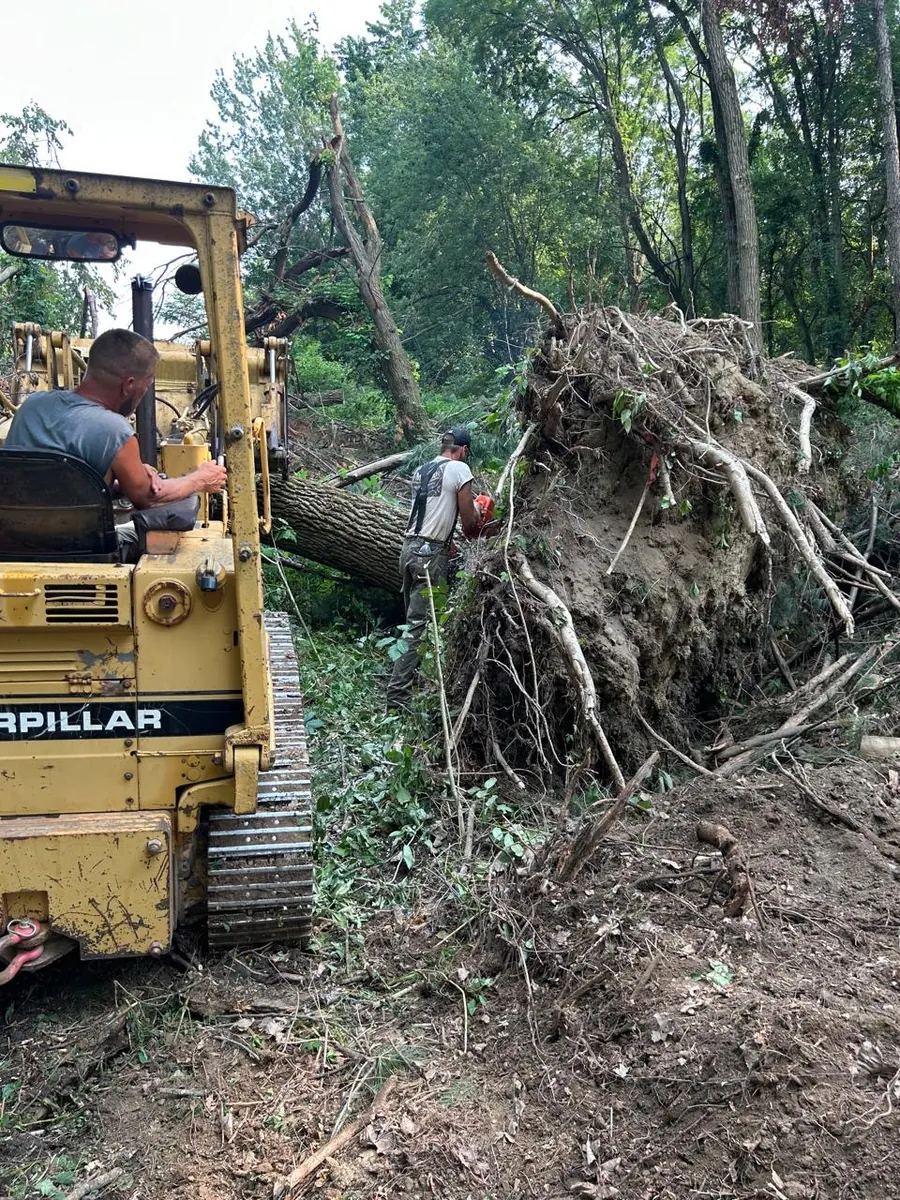 Storm Damage And Emergency Tree Work