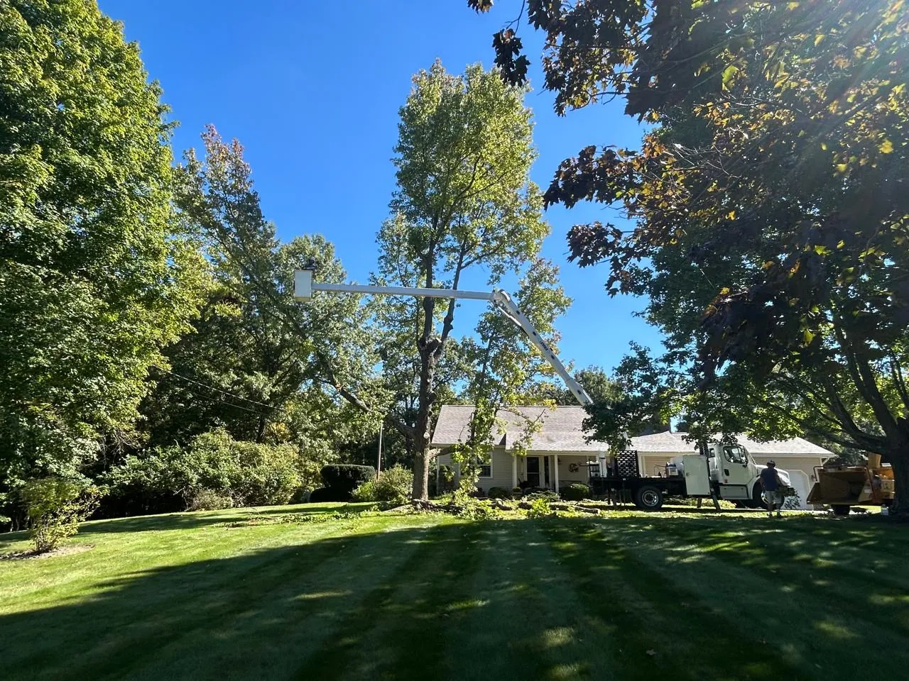 Select Tree Service project in Marengo