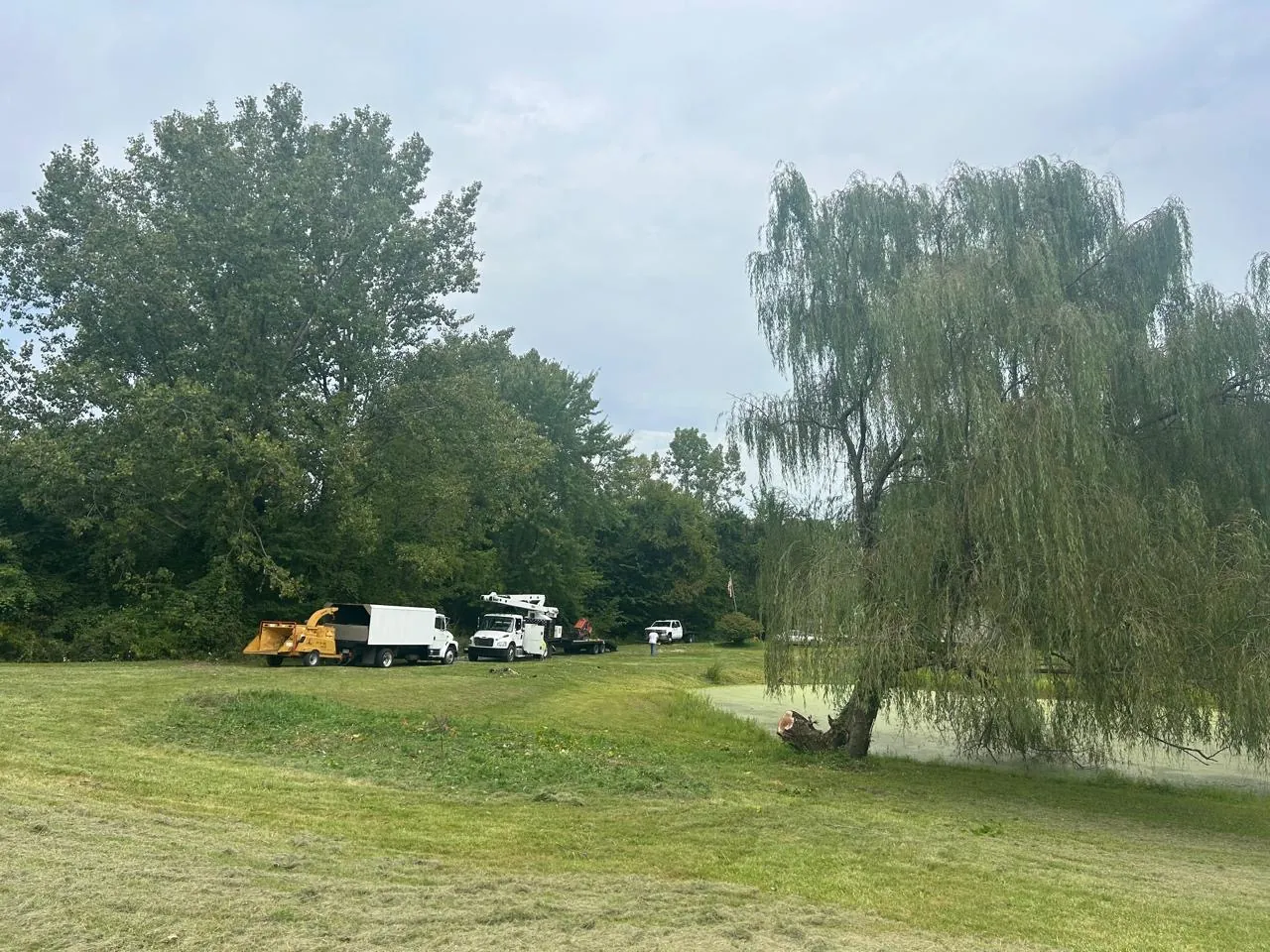 Select Tree Service project in Marengo