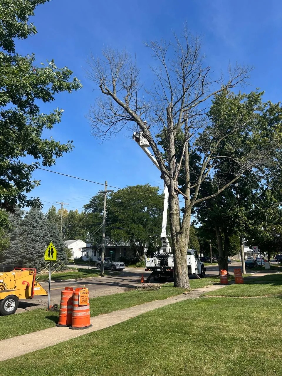 Select Tree Service project in Marengo
